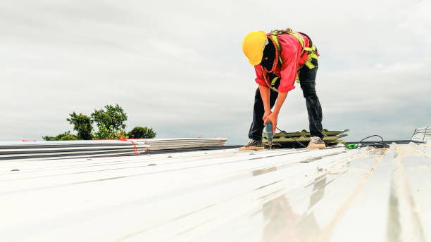 Best Steel Roofing  in Hastings On Hudson, NY